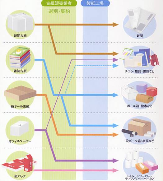 古紙が、古紙卸売業者と製紙工場を経てどのようにリサイクルされているかを示した図